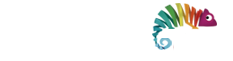 WebFormas - Agência de Marketing Digital em São Paulo